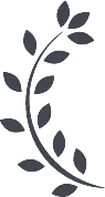 left branch