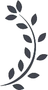right branch