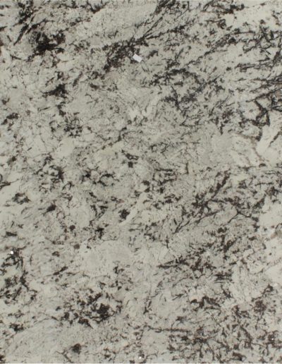 Delicatus - white granite