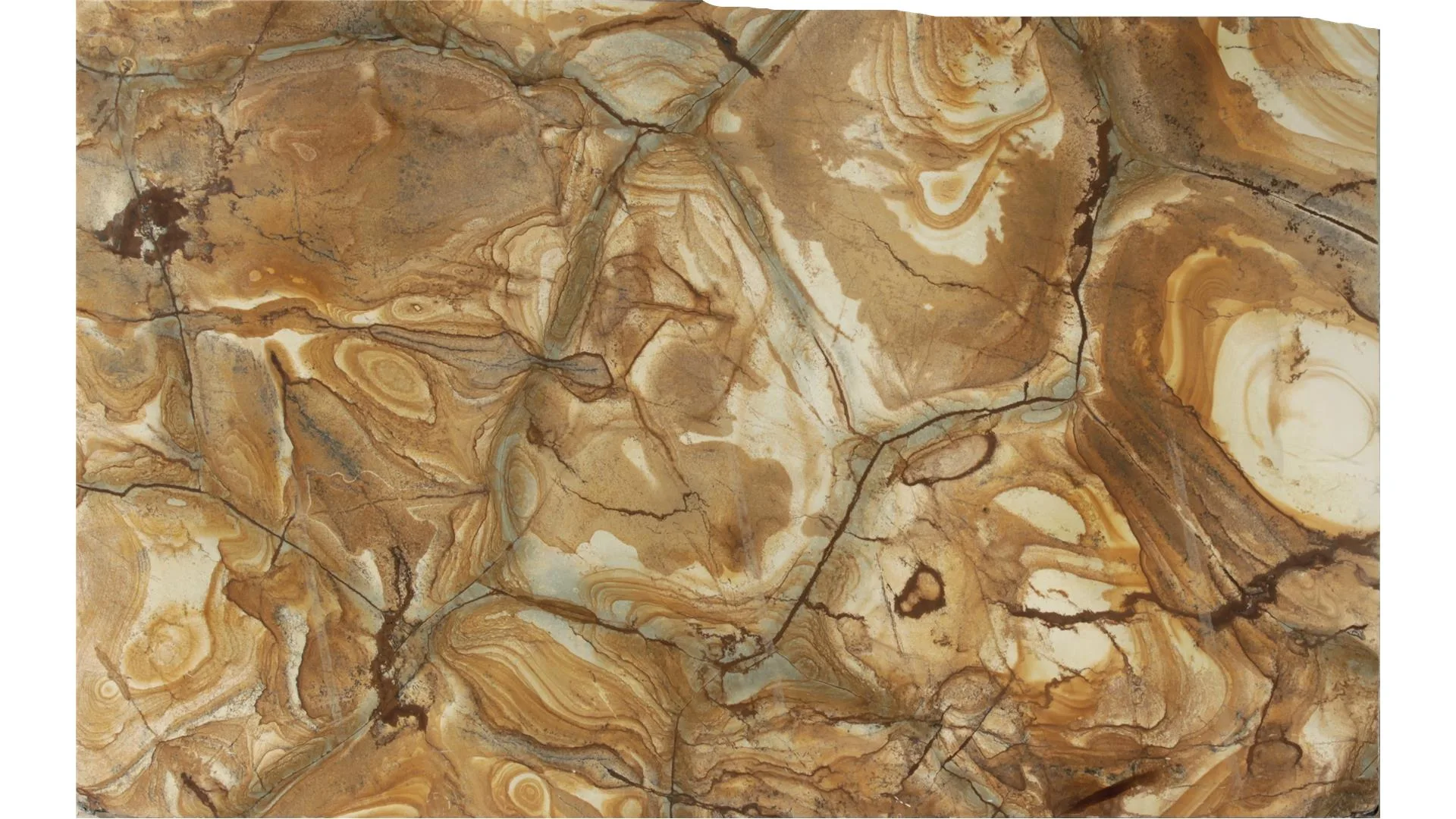 Palamino Granite 2