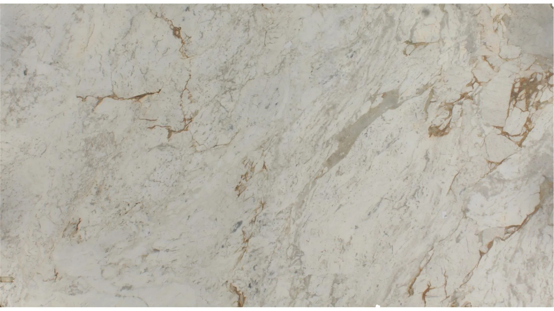 White Michelangelo 1 6
